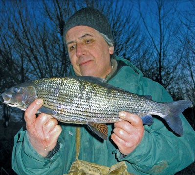 Grayling over 3lb