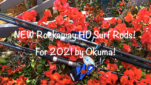 Rockaway HD 9'6 Surf Rod Will Double as my Popping/Plugging Rod!