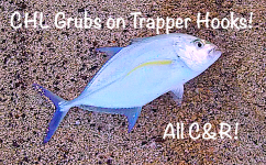 CHL Grubs on Trapper Hooks! All C&R!  FishingMagic Forums - sponsored by  Thomas Turner