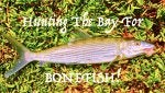 Bay Bonefish.jpg