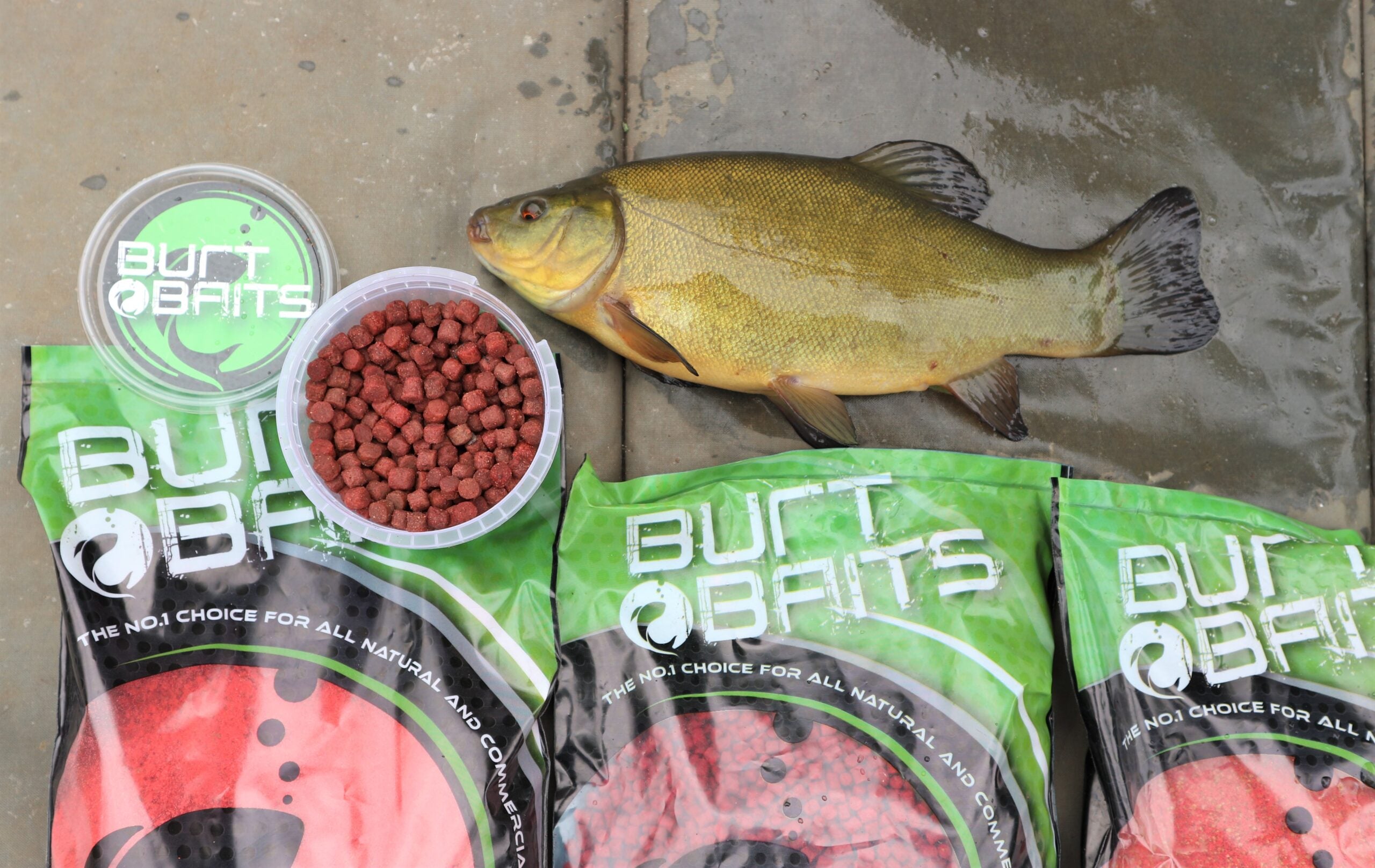 All About Pellets - Fish & Fly