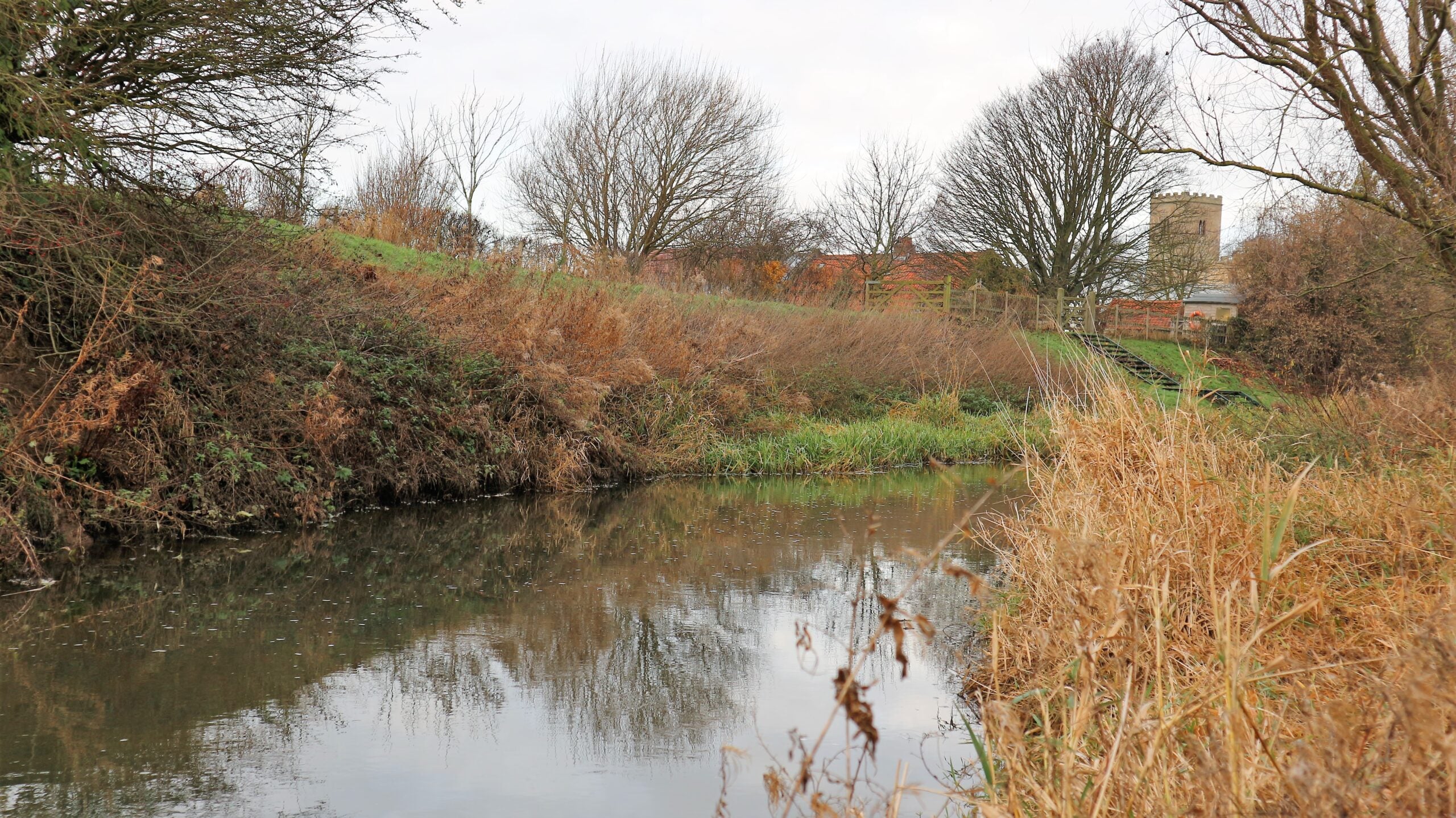 Feeder Stream — The Living River